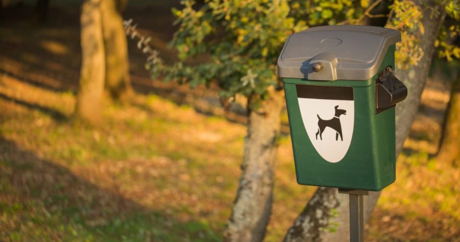 Hundekotbeutel und zwar richtig
